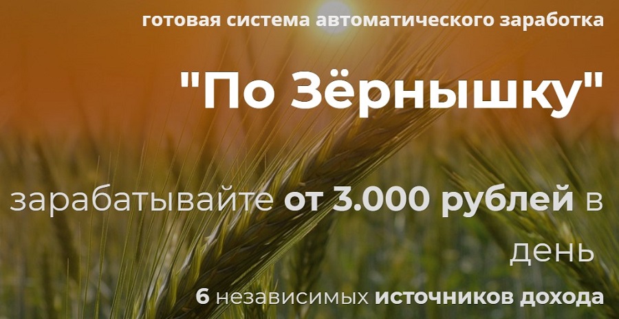 По Зёрнышку — система автоматического заработка от 3000 рублей в день